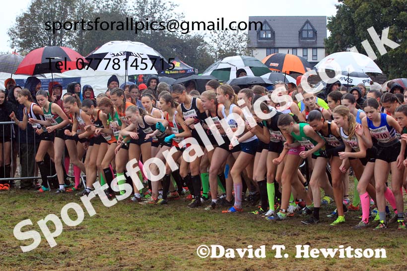 Girls Under-15s 2023 National Cross Country Relays, Berry Hill Park, Mansfield.  Photo: David T. Hewitson/Sports for All Pics